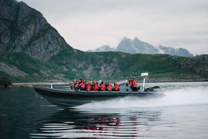 From Svolvær: RIB Boat Lofoten Trollfjord Sea Eagle Safari - Key points to know before you go