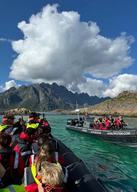 From Svolvær: RIB Boat Lofoten Trollfjord Sea Eagle Safari - More than birds: beaches, waterfalls, and Viking places