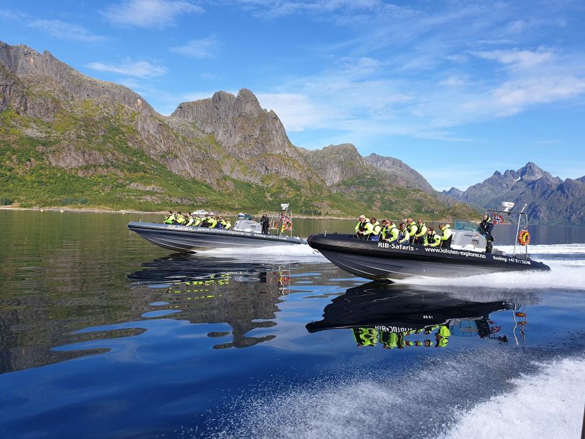 From Svolvaer: Trollfjorden Wildlife RIB Cruise - Øyhellsundet brings the mountains close