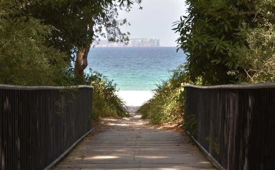 From Sydney: Jervis Bay Day Tour and Dolphin Watching Cruise - Huskisson: lunch and a useful pause