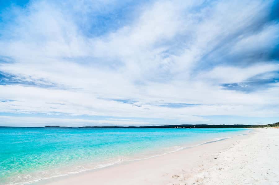 From Sydney: Jervis Bay Day Tour and Dolphin Watching Cruise - Cave Beach and Booderee National Park
