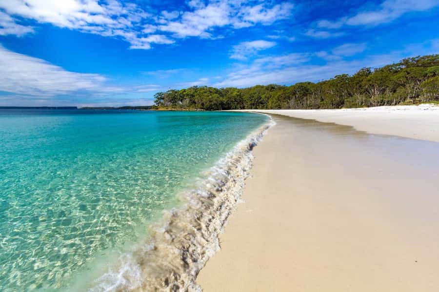 From Sydney: Jervis Bay Day Tour and Dolphin Watching Cruise - What the $94 price really covers