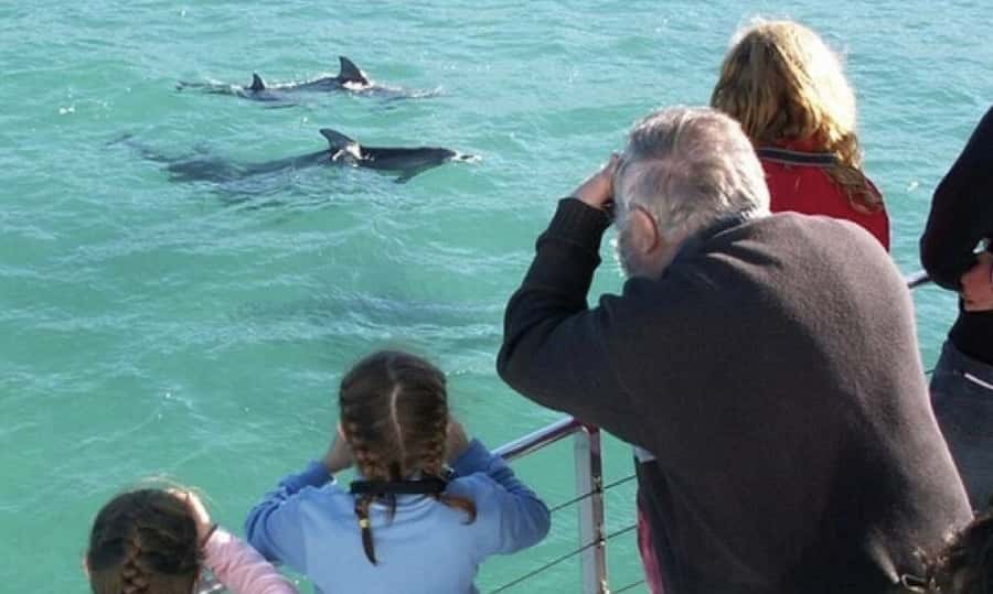 From Sydney: Jervis Bay Day Tour and Dolphin Watching Cruise - The early start and the long road south