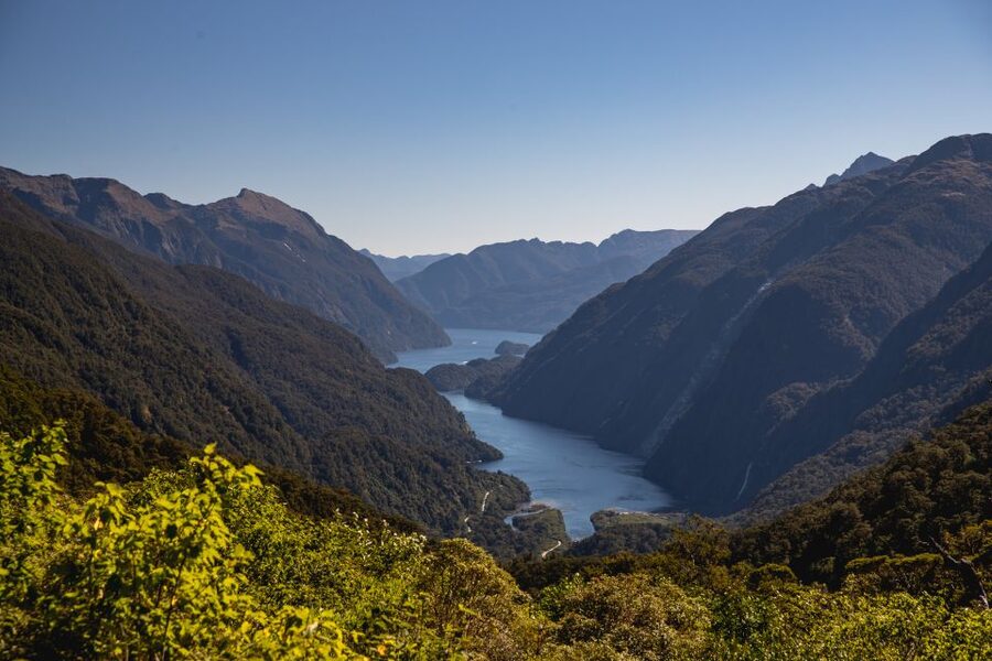 From Te Anau: Doubtful Sound Coach & Cruise - Wildlife on the water