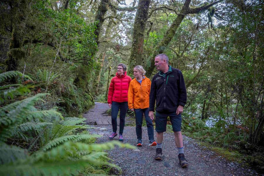 From Te Anau: Milford Sound Coach, Cruise, and Walks - The final call