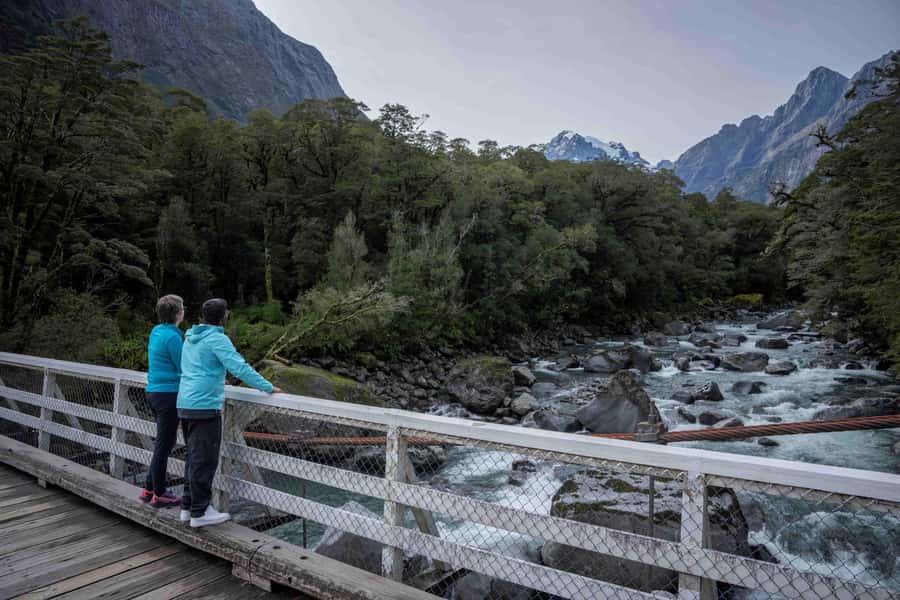 From Te Anau: Milford Sound Coach, Cruise, and Walks - The Milford Sound cruise reaches the Tasman Sea