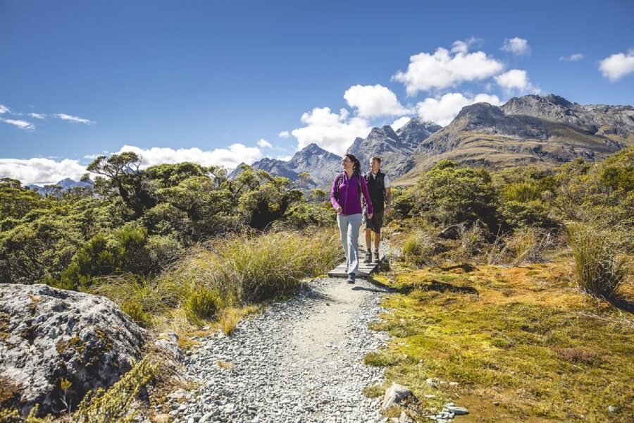 From Te Anau: Milford Sound Coach, Cruise, and Walks - The picnic lunch is simple and useful