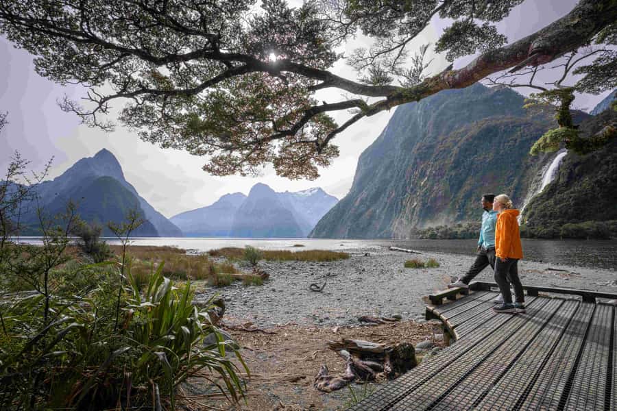 From Te Anau: Milford Sound Coach, Cruise, and Walks - Price and overall value at $164