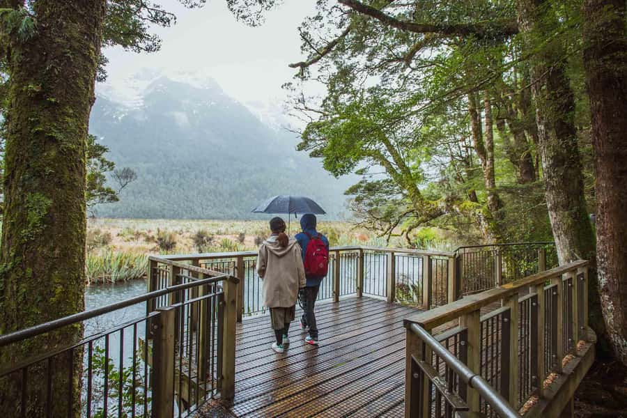 From Te Anau: Milford Sound Coach Tour and Cruise - Rain makes Fiordland more dramatic
