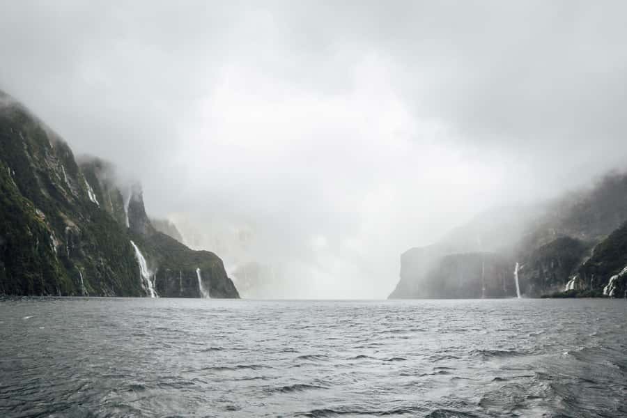 From Te Anau: Milford Sound Coach Tour and Cruise - What you see on the water
