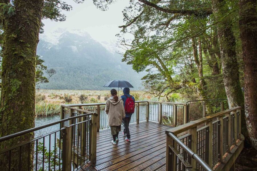 From Te Anau: Milford Sound Coach Tour and Cruise - Lunch, hot drinks, and the real value