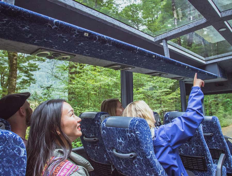 From Te Anau: Milford Sound Coach Tour and Cruise - The Te Anau to Milford road