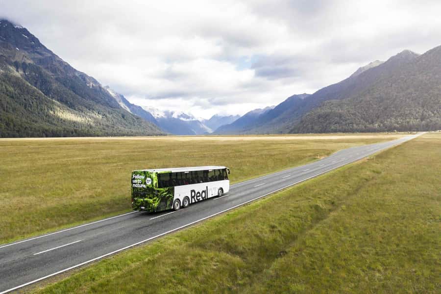 From Te Anau: Milford Sound Cruise and Coach Day Trip - Mirror Lakes gives you a quick, quiet pause