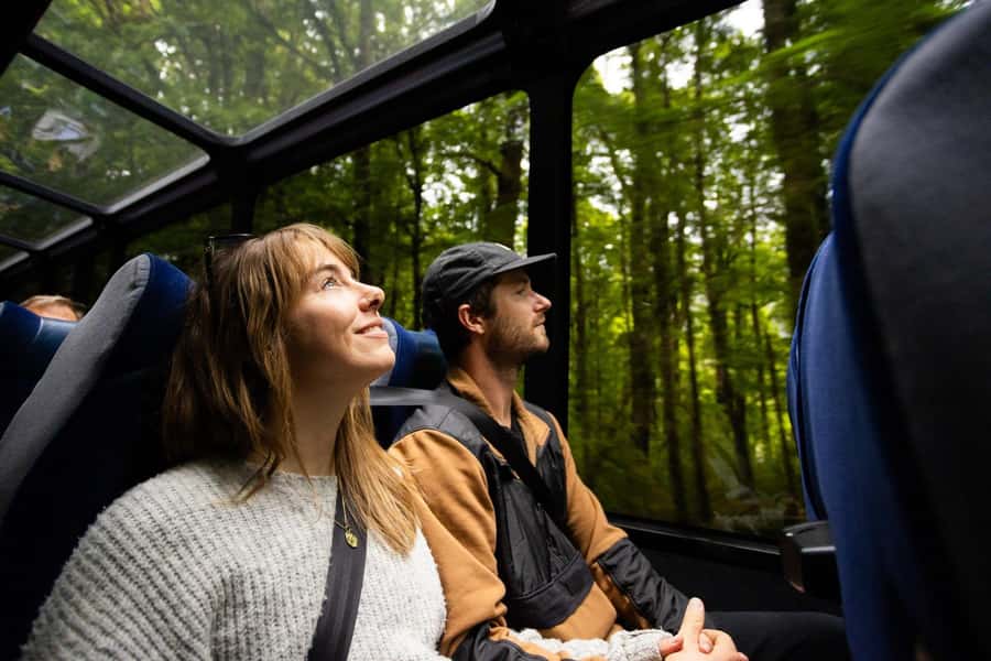 From Te Anau: Milford Sound Cruise and Coach Day Trip - Monkey Creek brings you closer to Fiordland water