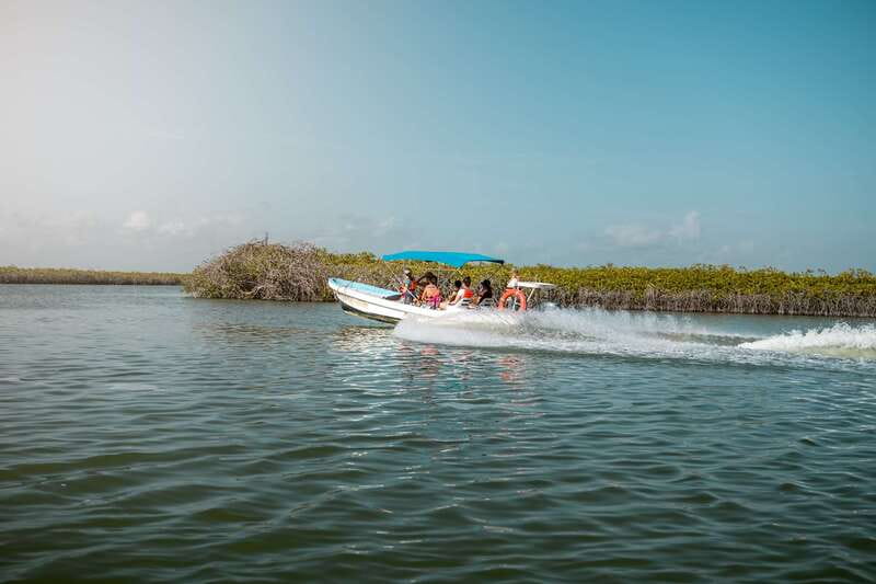 From Tulum: Sian Kaan Boat Trip Adventure with Lunch - The return boat ride and the long way home