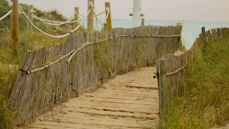 From Valencia: Albufera Natural Park Eco Boat Tour & Sunset - Key points to know before booking