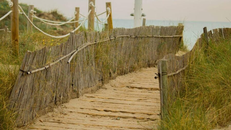 From Valencia: Albufera Natural Park Eco Boat Tour & Sunset - The electric boat is the quiet highlight