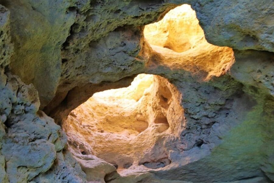 From Vilamoura: 2.5-Hour Benagil Cave and Dolphins Boat Tour - What the boat and group size mean