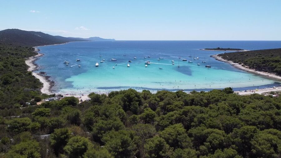 From Zadar: Full-Day Boat Trip to Sakarun Beach & Dugi Otok - Sakarun Beach, clear water, sand, and seagrass