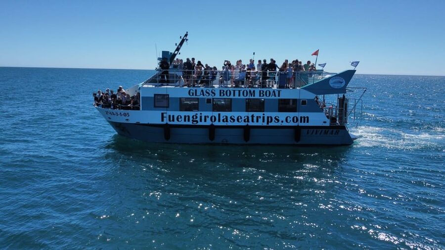 Fuengirola: Catamaran Tour to Spot Dolphins - A two-hour route with about 45 minutes at sea each way