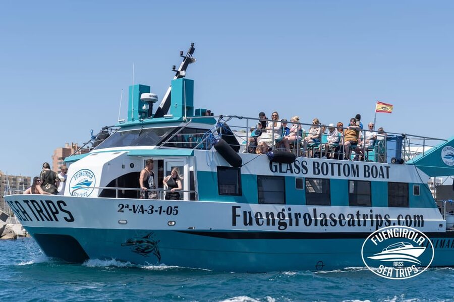 Fuengirola: Catamaran Tour to Spot Dolphins - Choosing your place on the catamaran