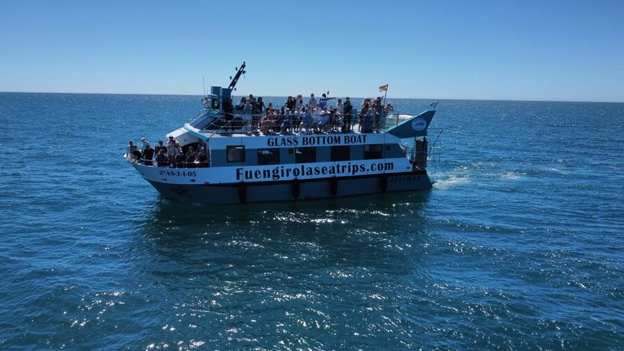 Fuengirola: Catamaran Tour to Spot Dolphins - Timing, weather, and seasickness