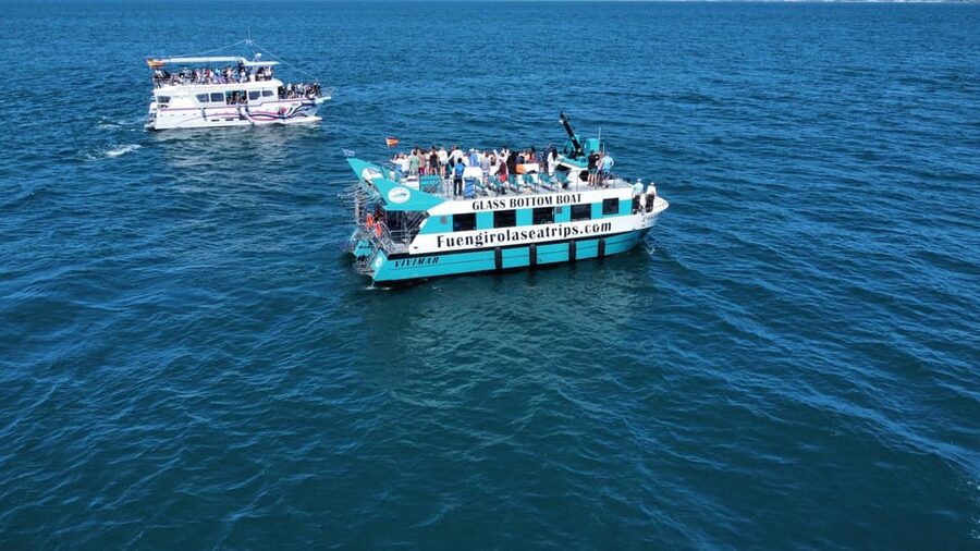 Fuengirola: Catamaran Tour to Spot Dolphins - Wild dolphins, not a staged show
