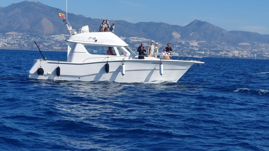 Fuengirola: Dolphin Watching Boat Trip — Fun for All Ages - The swim stop away from shore
