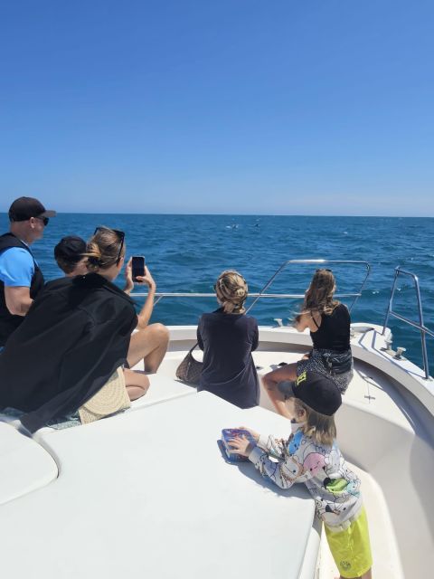 Fuengirola: Dolphin Watching Boat Trip — Fun for All Ages - Weather, scheduling, and the small print that matters