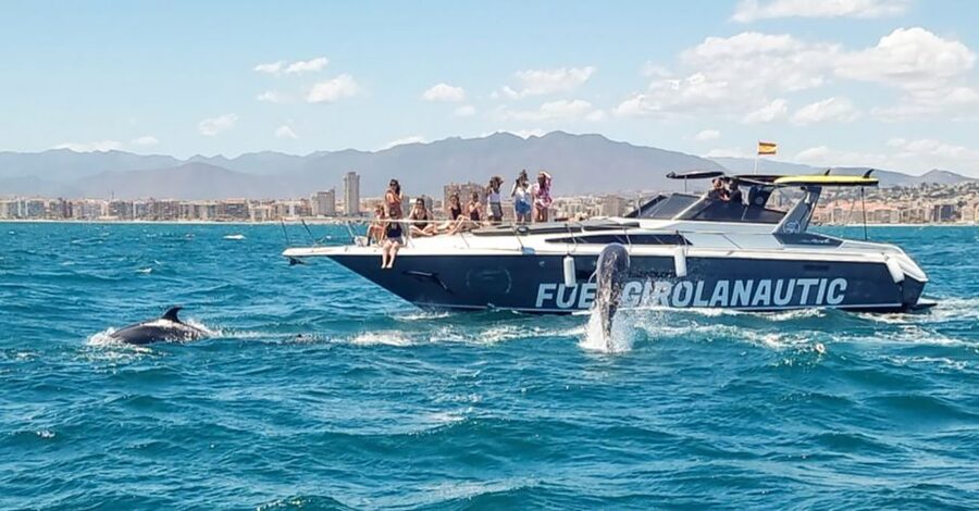 Fuengirola: Dolphin Watching by Yacht with Snacks and Drinks - Cava, beer, soft drinks, and salty snacks