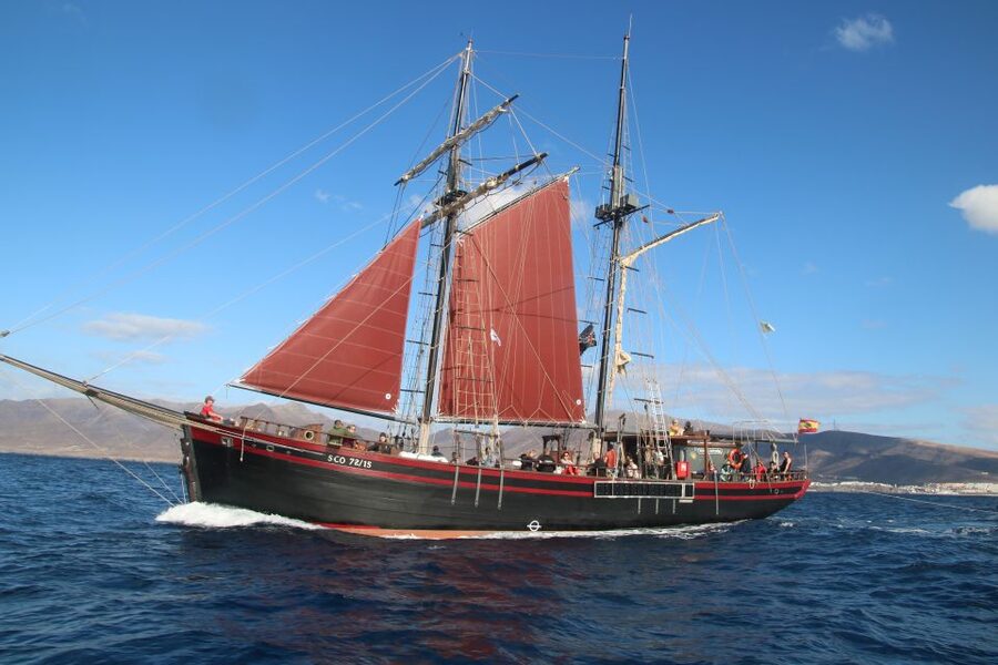 Fuerteventura: 4-Hour Pirate Sailing Adventure - Weather, cancellations, and smart booking tips