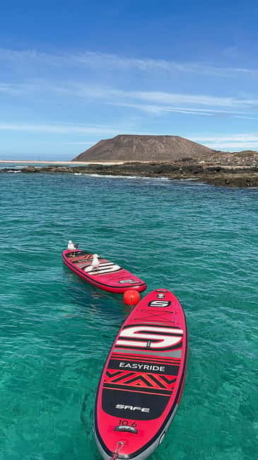 Fuerteventura: Dolphin watching and Lobo Island Combo Cruise - Lobos Island and the calm-water stop