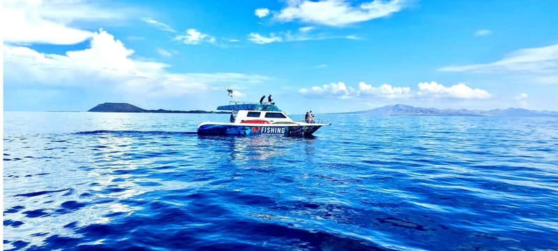 Fuerteventura: Dolphin watching and Lobo Island Combo Cruise - Who should book this Corralejo cruise?