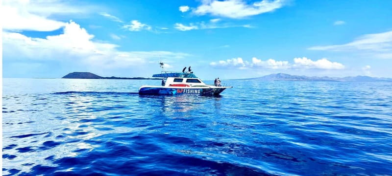 Fuerteventura: Dolphin watching and Lobo Island Combo Cruise - Booking details worth knowing