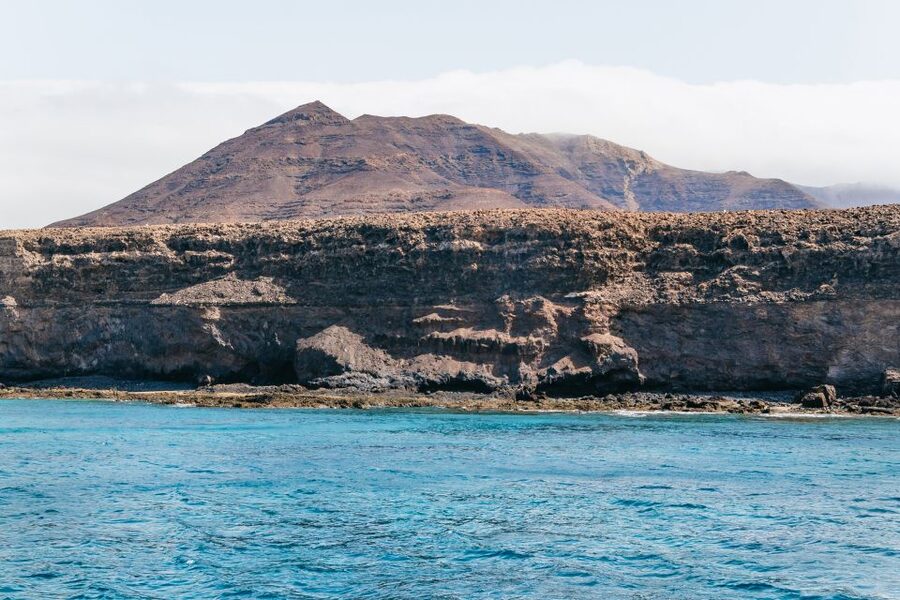 Fuerteventura: Glass Bottom Boat Cruise with Lunch & Drinks - Who will enjoy this cruise most