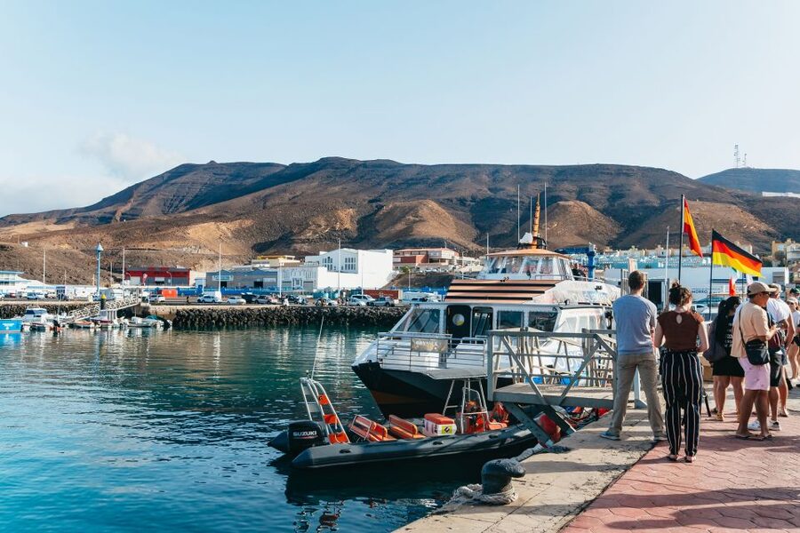Fuerteventura: Glass Bottom Boat Cruise with Lunch & Drinks - Watching for dolphins, whales, and turtles