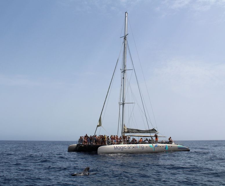 Fuerteventura: Magic Catamaran Trip with Food and Drinks - Practical details that can save you trouble