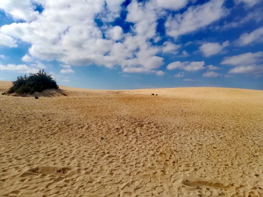 Fuerteventura: North of Fuerteventura for Cruise Passengers - El Cotillo: cliffs, surf, and open Atlantic views