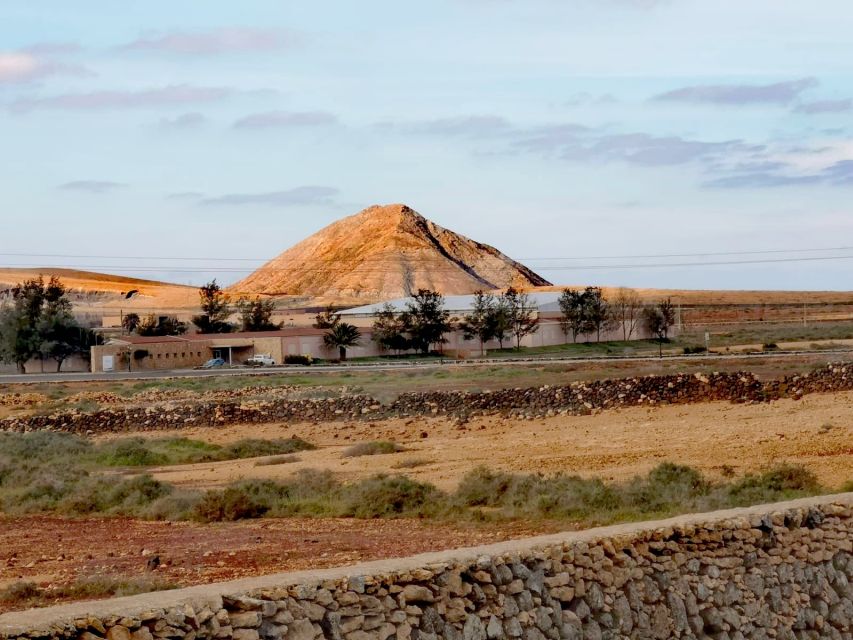 Fuerteventura: North of Fuerteventura for Cruise Passengers - A guide-led view of island life