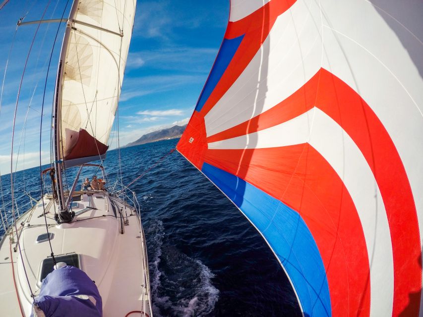 Fuerteventura: Sailing with Snorkeling and Dolphin Watching - Wildlife sightings are wonderful, but never guaranteed