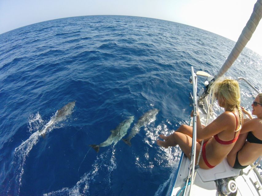 Fuerteventura: Sailing with Snorkeling and Dolphin Watching - Tapas, wine, beer, and a relaxed ride home