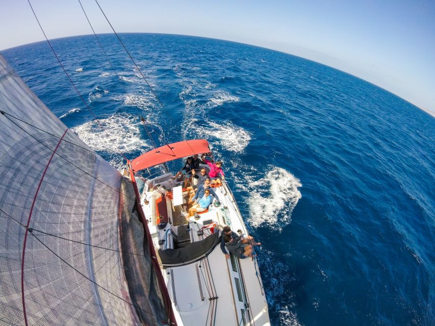 Fuerteventura: Sailing with Snorkeling and Dolphin Watching - The harbor’s manta rays and the first wildlife stop