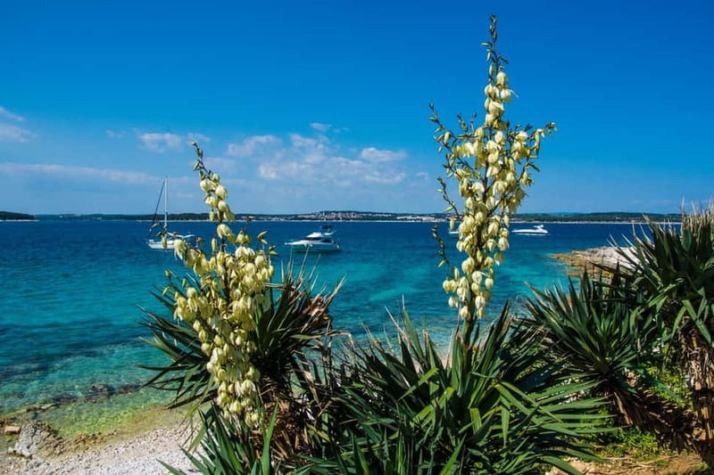 Full-Day Boat Trip, Cave Swim, lunch & Drinks - Medulin/Ceja - Cape Kamenjak and its rocky southern coast