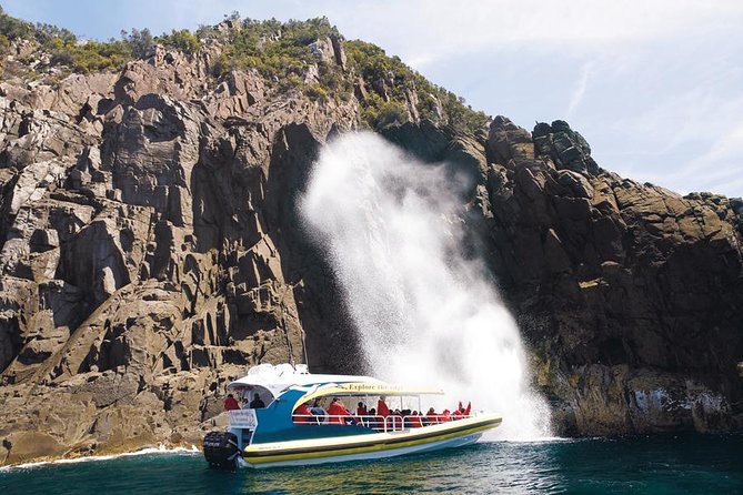 Full-Day Bruny Island Cruises Day Tour from Hobart - The Neck and Bruny’s island scenery