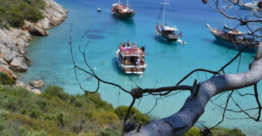 Full-Day Orak Island Boat Trip from Bodrum - Leaving Halikarnas harbor at 11:00