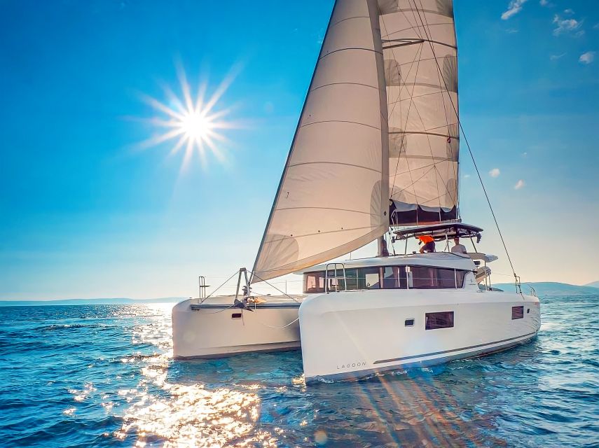 Funchal Bay: Dolphin & Whale Watch Luxury Catamaran Cruise - Key points at a glance