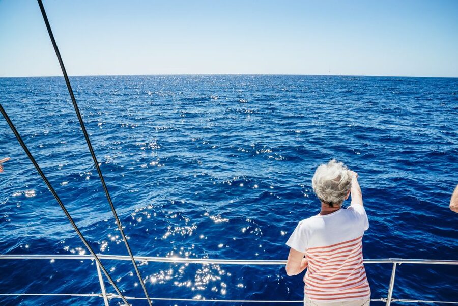 Funchal: Dolphin and Whale Watching by Luxury Catamaran - Why this catamaran feels different from a basic boat ride
