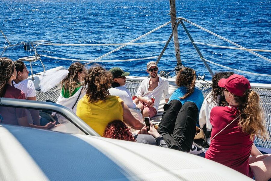 Funchal: Dolphin and Whale Watching by Luxury Catamaran - Wildlife watching without false promises