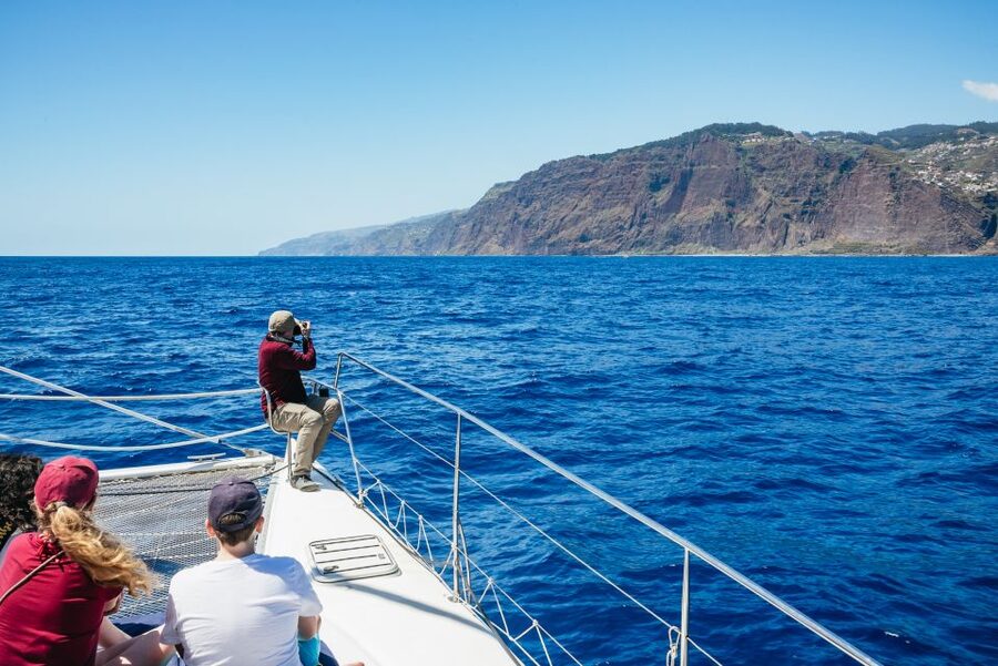 Funchal: Dolphin and Whale Watching by Luxury Catamaran - What the $47 price really buys you