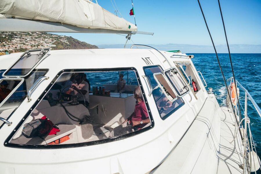 Funchal: Dolphin and Whale Watching by Luxury Catamaran - Finding Pier 8 in Funchal Marina